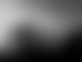 La juventud como territorio en disputa: La libertad como emblema político.