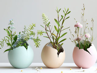 Gute Feng Shui-Pflanzen für dein Zuhause