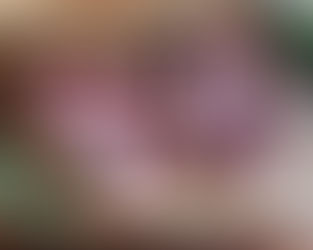 Reverse-seared Mangalitsa Pork Chops