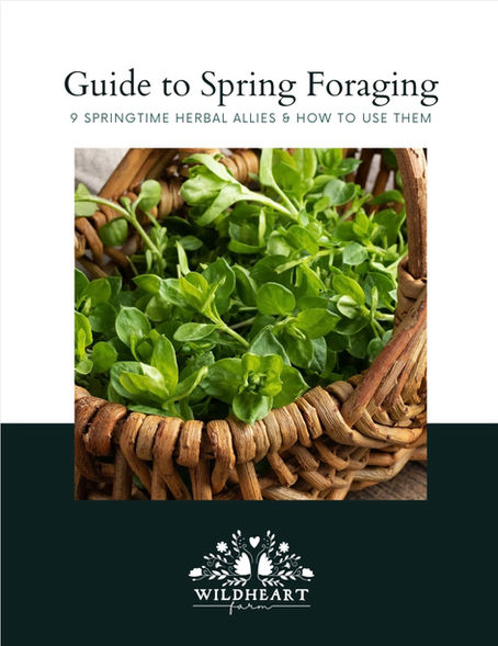 Wildcrafting: Tools for Harvesting & Processing Herbs