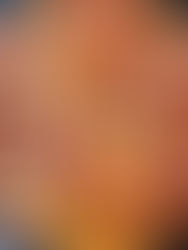 Shrimp & Grits with Smoked Mangalitsa Sausage