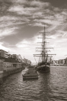 DSCF9295.jpg
