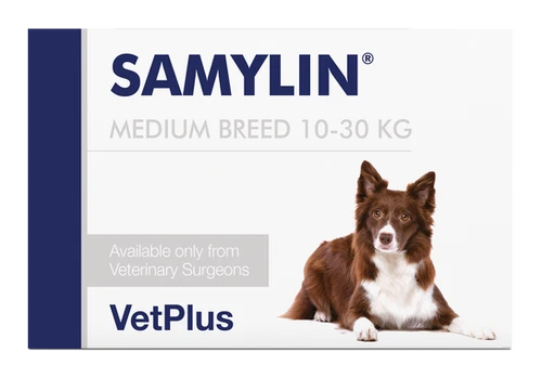 VetPlus SAMYLIN Liver Supplement for Medium Dogs (10 to 30kg) | Pawkit