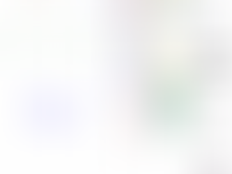 Daily market summary,plan charts and data of NF – 23Jul’26