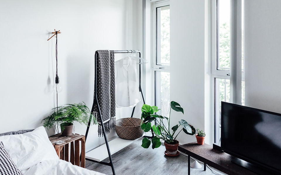 Stylish Bright Living Room with plants, natural light, and clutter-free clothing rack