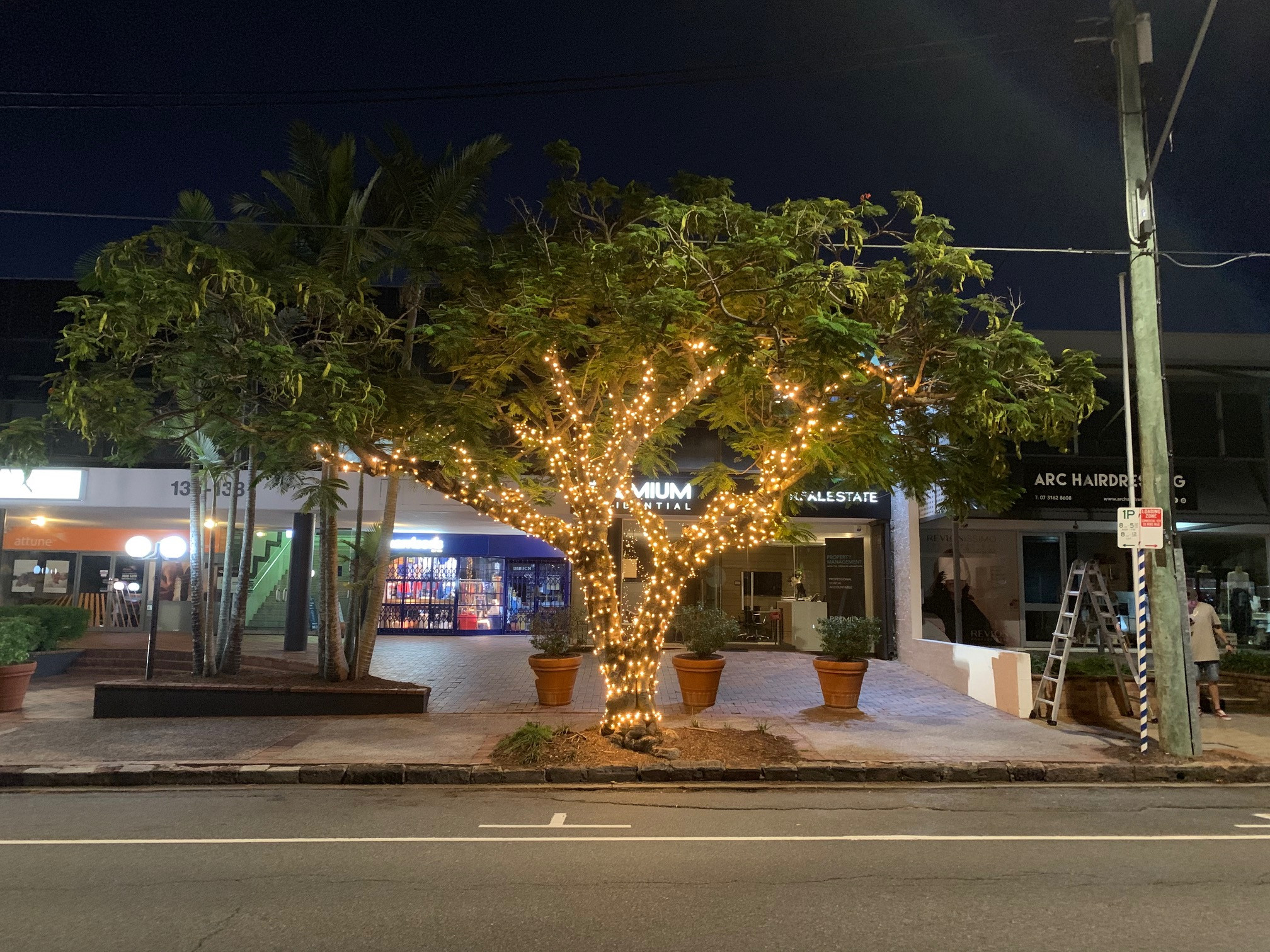 FAIRY LIGHTS brisbanefairylights