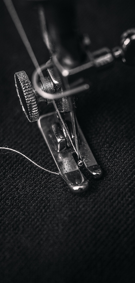 Photo by Alex Andrews from Pexels.jpg