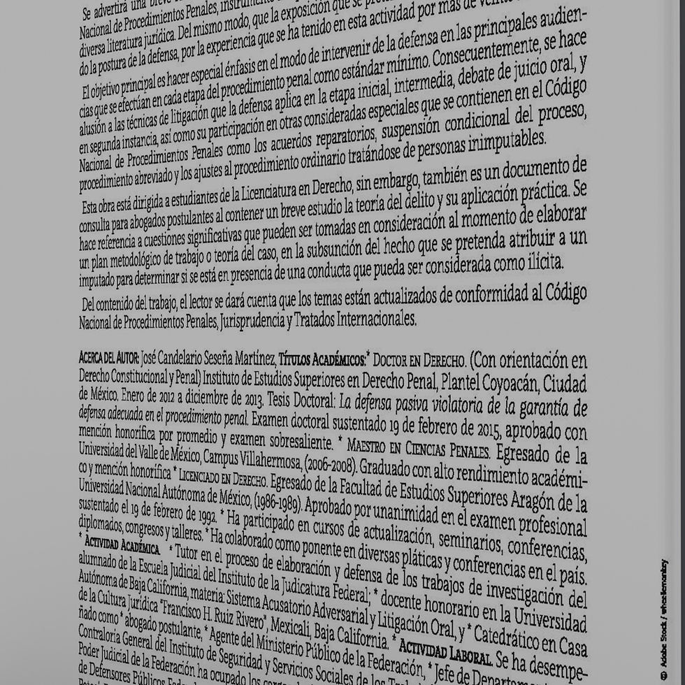 Miniatura: El debido proceso y la defensa adecuada en el procedimiento penal federal acusat