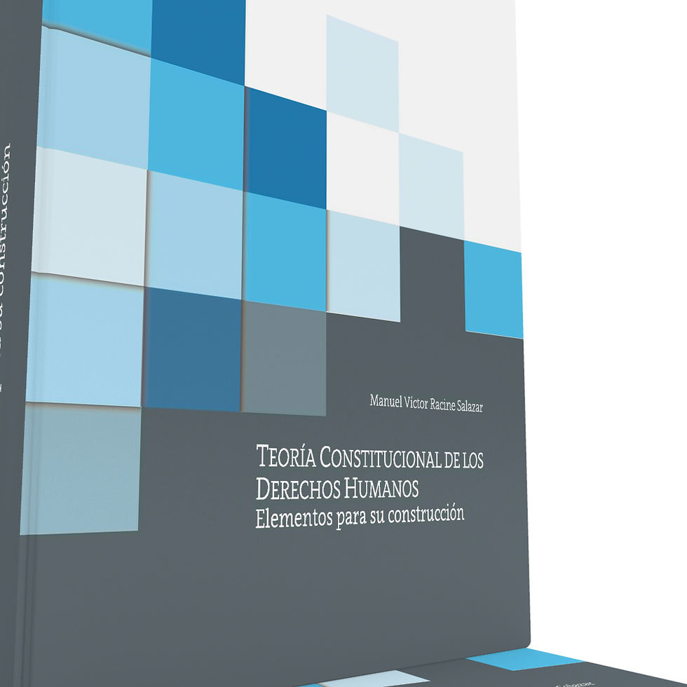 Miniatura: Teoría Constitucional de los Derechos Humanos. Elementos para su construcción.