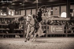 horse show noir et blanc