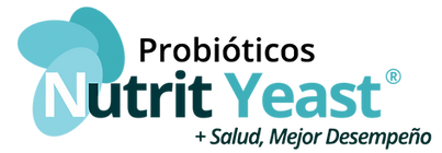 logo 2.png