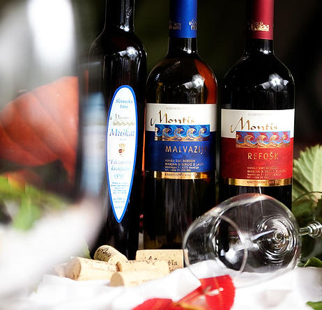 Vina Montis, EKO Laura
