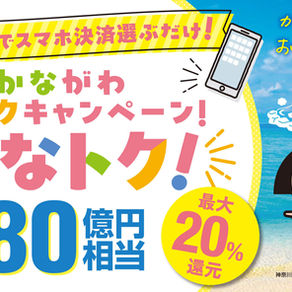 かながわトクトクキャンペーン始まります