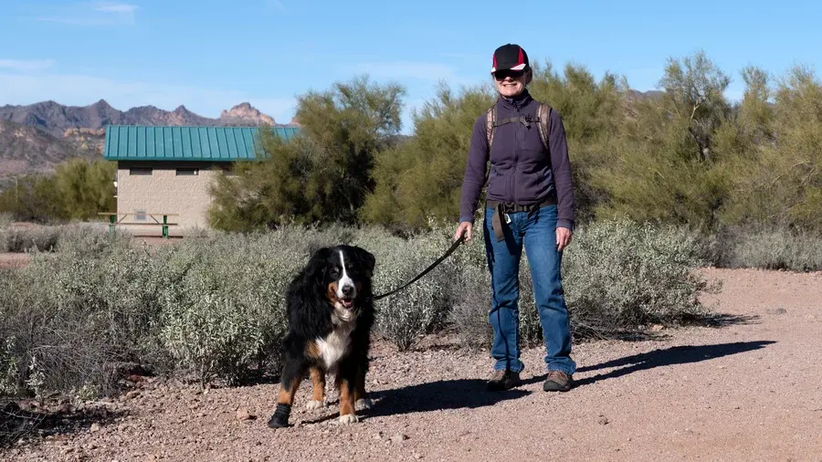 Olderwomanwalks dog in the Phoenix area desert after successful artificial disk replacement surgery