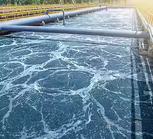 Biological Purification (1).avif