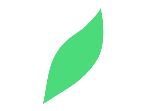 树叶e.png