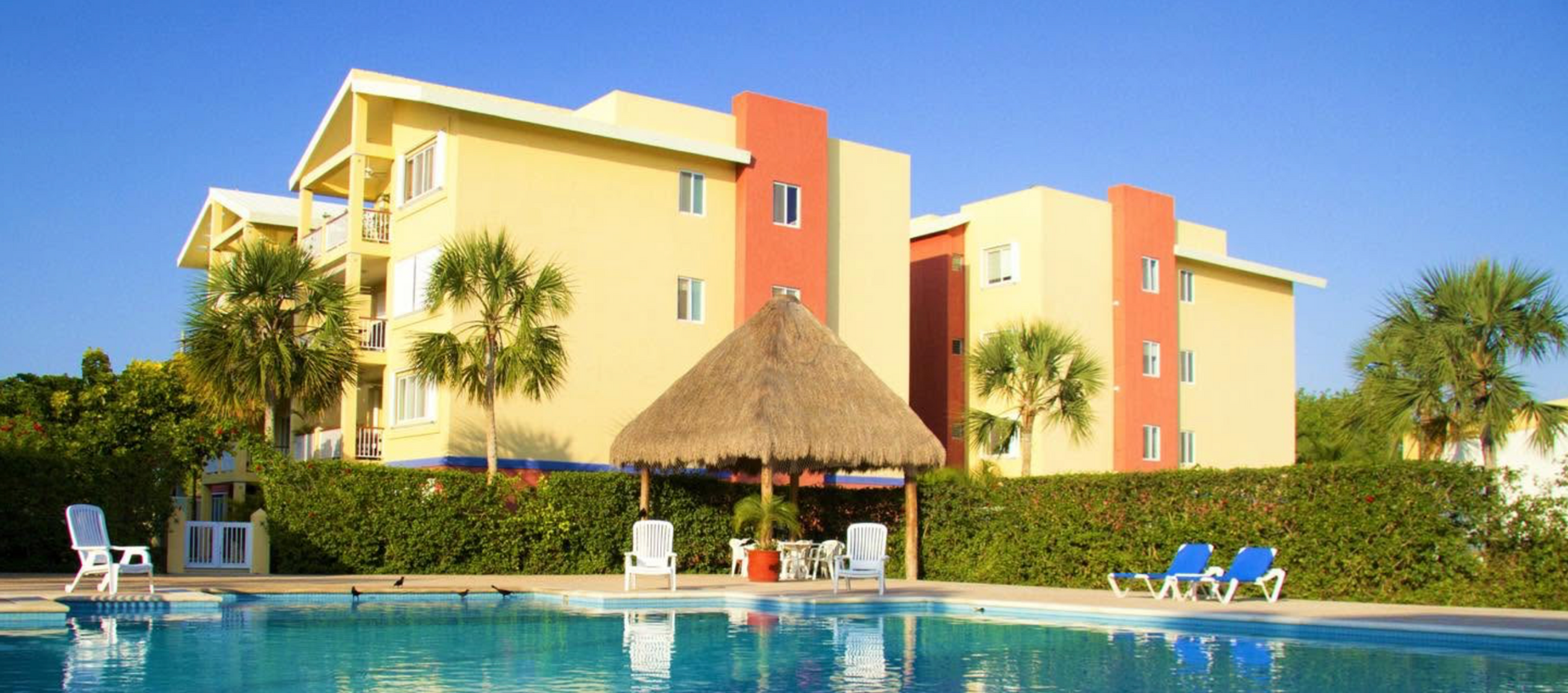 Condo Miel
