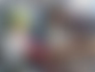 Apoyo en la Carrera Rotaria