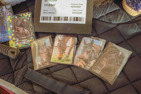 Finnerty,Kiera_Project 1_21.jpg