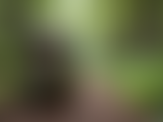 Why Sustainable Outdoor Gear Matters