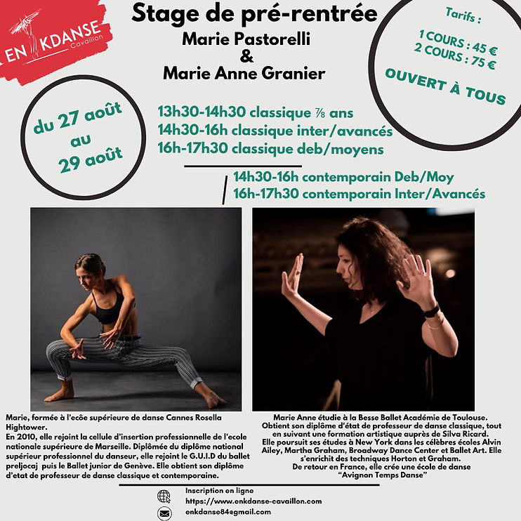 Document Rapport de Stage Minimaliste Élégant Noir et Marron (Publication Instagram).png