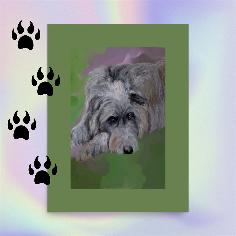 Scottish Deerhound resting Poster