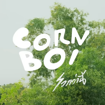 Screenshot 2567-09-16 at 21.53.05.png