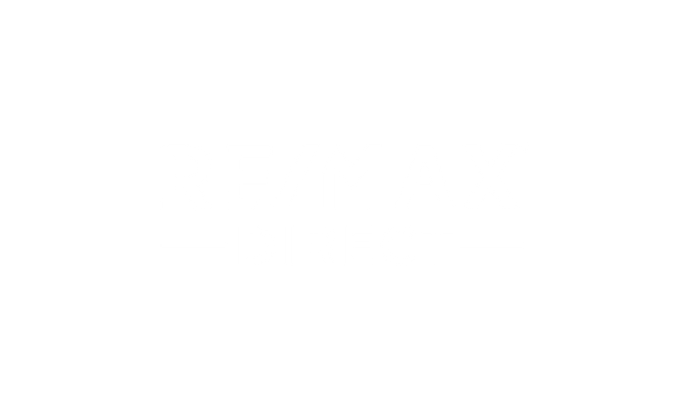 REMAX Old Logo