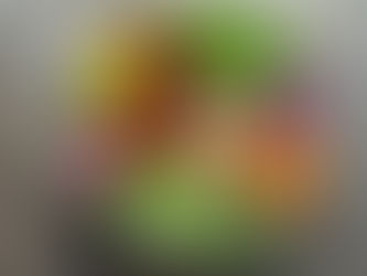 The Benefits of a Vegetarian Diet for Cardiovascular Disease & Cancer