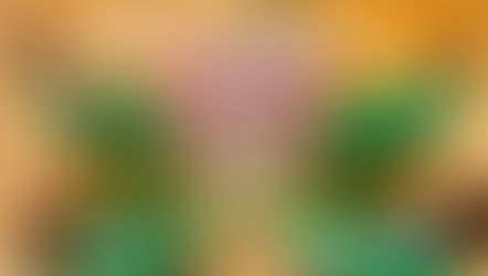 【WS】10/5(日)ストレッチーズ オフィシャル・トレーニング・ワークショップ マット(基礎編)