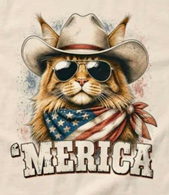 Maine Coon head shot wearing a cowboy hat and a bandana