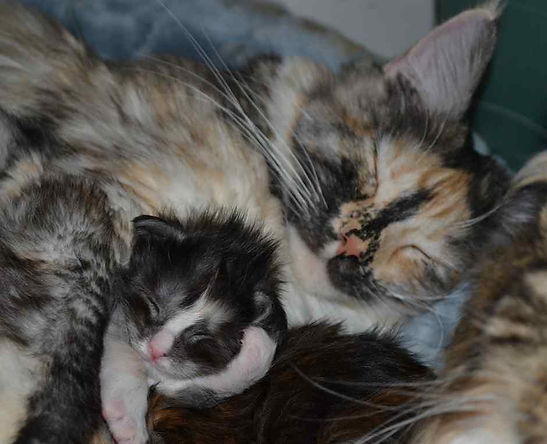 ruby-mom20_resize.jpeg