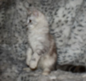 DSC_0189.jpeg