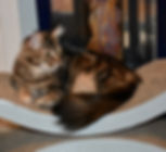 DSC_0091.jpeg