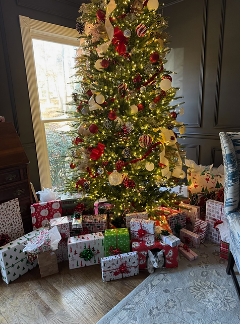 decorated Christmas tree with loads of brightly colored packages under the tree