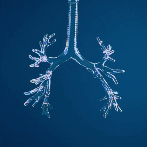 lung5.gif