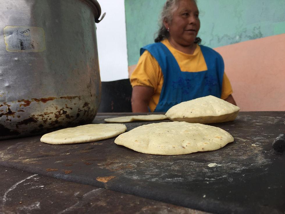 tortilla