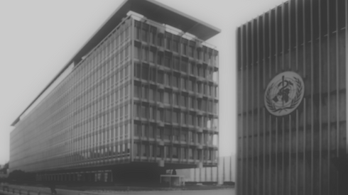 TIMUN Website Design (1).png