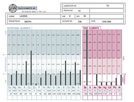 Mineral Hair Analysis Testing Example for Canine