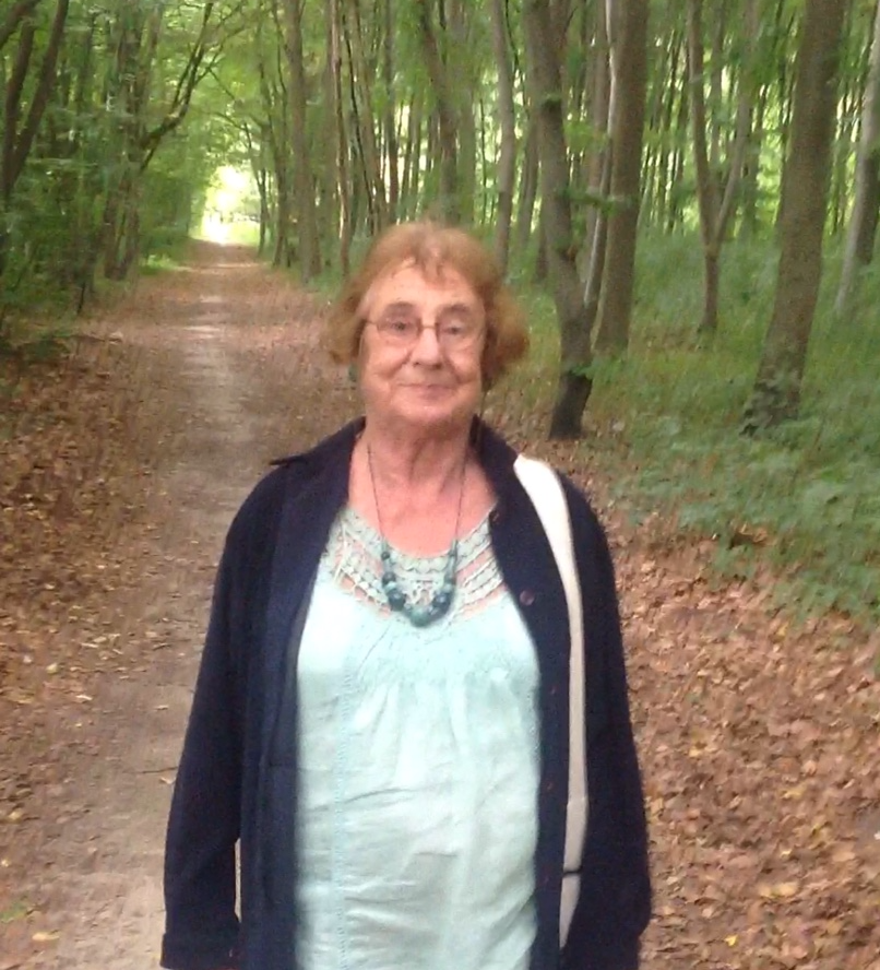 Promenade à Chantilly (2013)