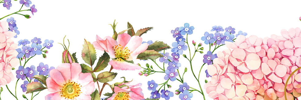 7 wix Banner (1500 x 500 px) (2).png