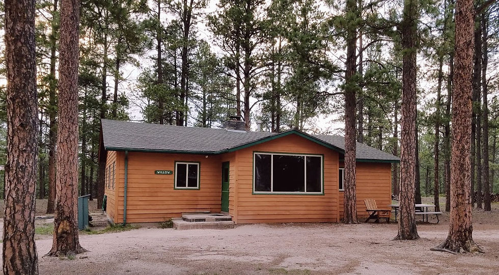 Willow Cabin.jpg