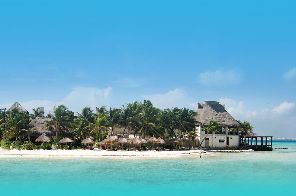 Tropical Beach Paradise