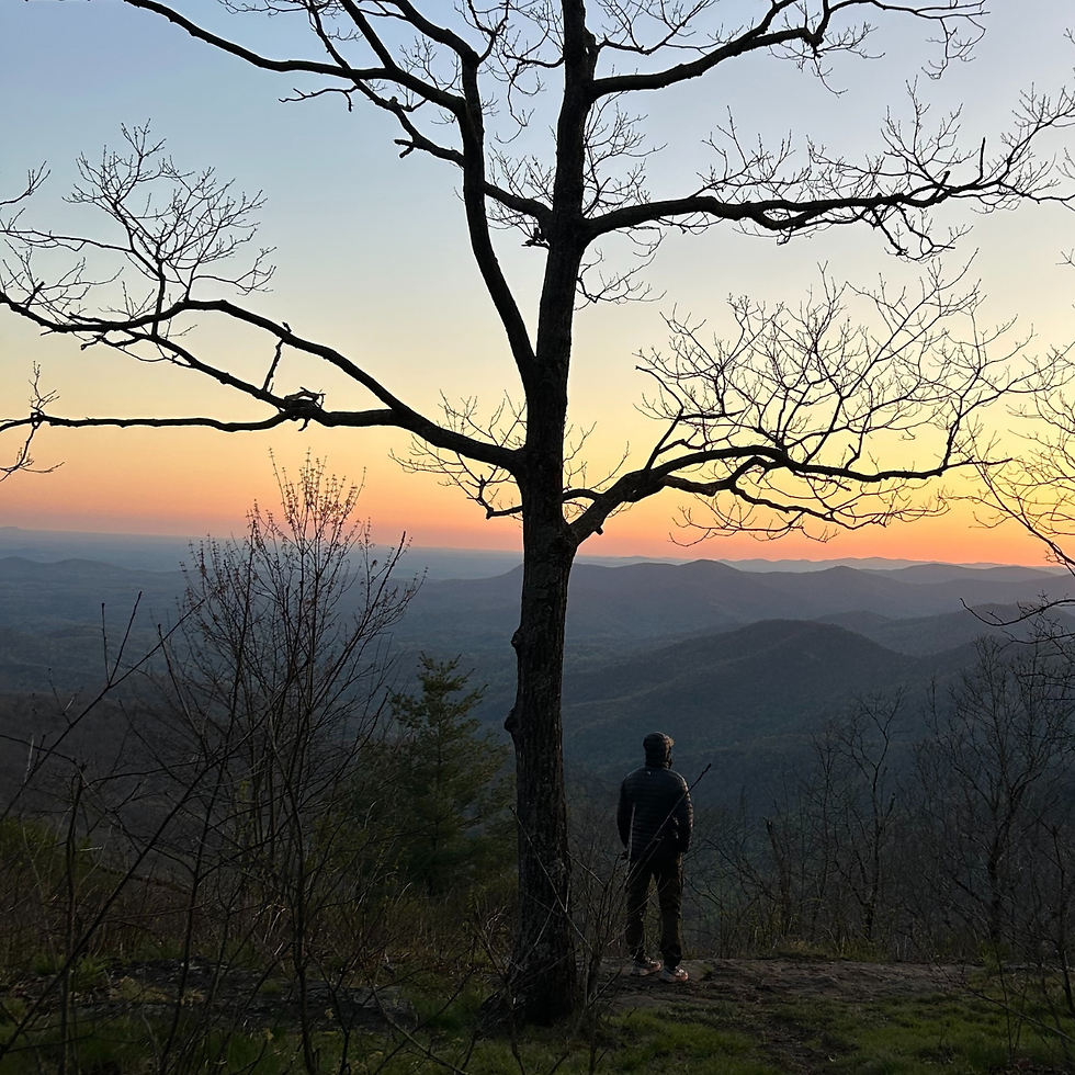 The Strategic Discipline of Disconnection