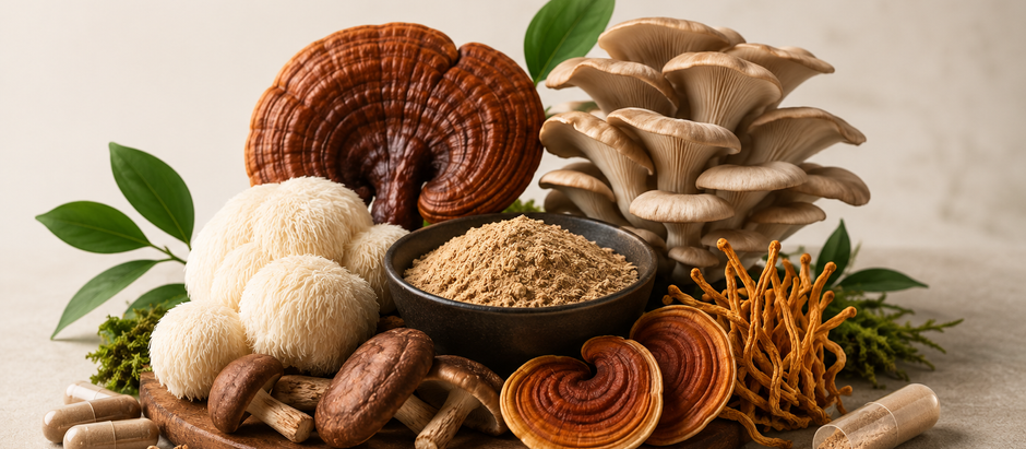 6 Mushroom Blend Benefits: Why Are Mushroom Complexes Trending?