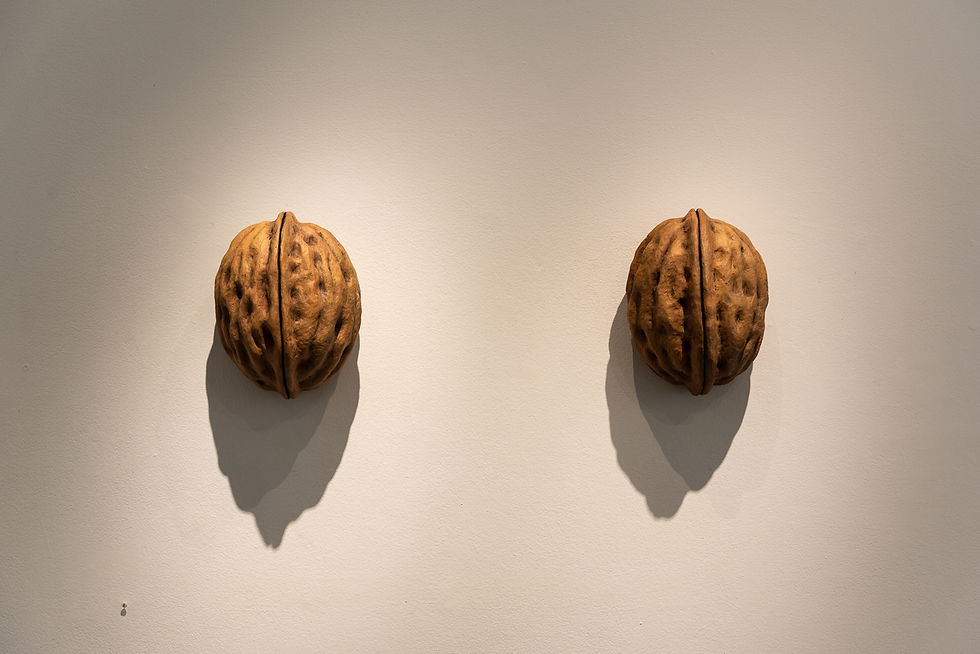 Wall Nuts