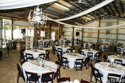 Cindy & Josh Wedding Nov 21st 2015