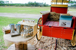 Cindy & Josh Wedding Nov 21st 2015