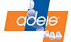 ADEIS logo (2).jpg