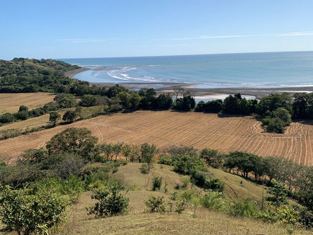 5 Razones para Escoger Playa Guanico como tu Próxima Aventura en Panamá